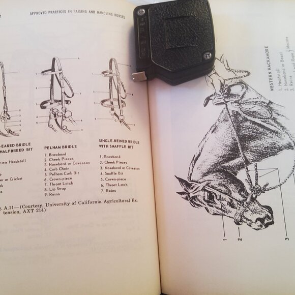 VINTAGE HORSE HANDLING BOOK plus extra booklet - Picture 7 of 12